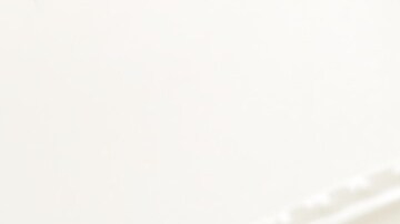 Espaguetis con calamares al ajillo