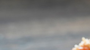 tostas de tomate rostizado con queso feta