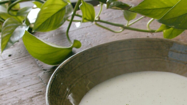 sopa de pepino y yogurt