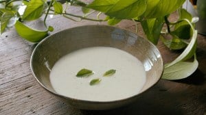 sopa de pepino y yogurt