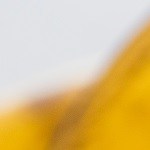 Helado de banana casero