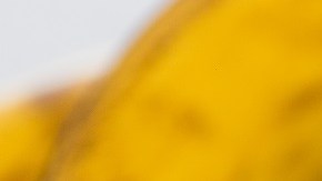 Helado de banana casero