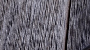 Salmón en salsa de queso azul