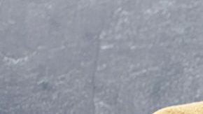 ensalada de col y calabaz