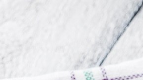 Chuletas en salsa roja