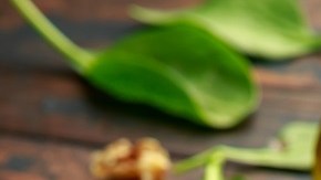 espinacas con panceta