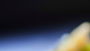 plato con gyozas de pollo