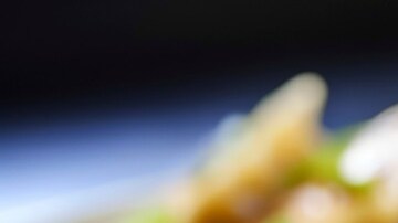 plato con gyozas de pollo