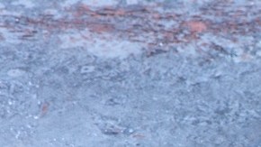 Risotto de quinoa vegano