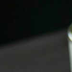 rollos de ensalada de pollo