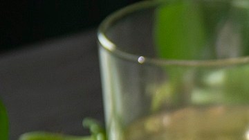 rollos de ensalada de pollo