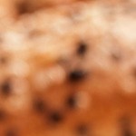 sandwich de salmon y huevo