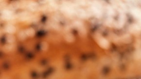 sandwich de salmon y huevo