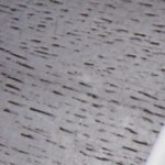 risotto de coliflor con champiñones