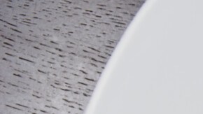 risotto de coliflor con champiñones