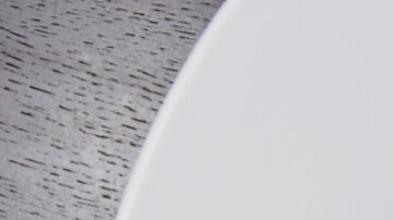 risotto de coliflor con champiñones