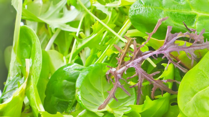 ensalada de hojas verdes