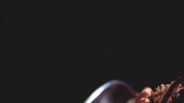 helado de chocolate negro