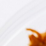 carne deshilada con huevo