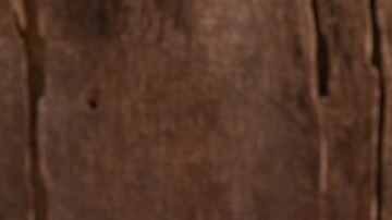 risotto de quinoa y verduras