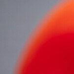 alitas de pollo encebolladas