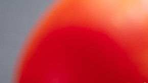 alitas de pollo encebolladas