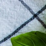 sopa de ajo y perejil