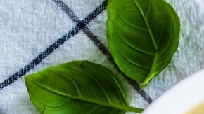 sopa de ajo y perejil