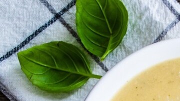 sopa de ajo y perejil