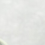 pasta en salsa de alioli