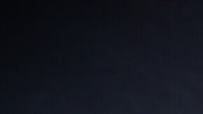 costillas de res en salsa roja