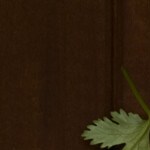 Cazuela de pollo chilena