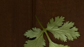 Cazuela de pollo chilena