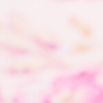 helado de yogurt de frutos rojos