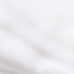 Calamares rellenos de gambas