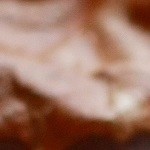 brownie para halloween