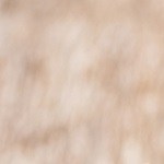 Lasagna de pulled chicken con espinacas y bechamel