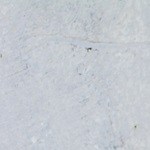 Pechuga de pollo con quinoa y vegetales al vapor