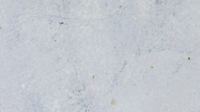 Pechuga de pollo con quinoa y vegetales al vapor