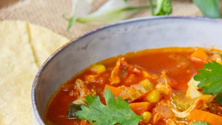 sopa de verduras con pollo y guajillo