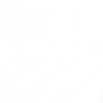 plato de espaguetis con salchichas