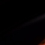 muslos de pollo al ajillo