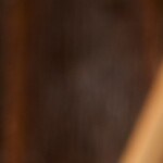 Pechuga de pollo con salsa de jengibre y sésamo