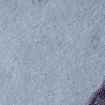 Curry verde tailandés con gambas