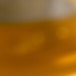 filetes de mero empanados