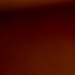 chuletas de cerdo en salsa de mango