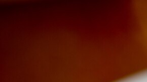 chuletas de cerdo en salsa de mango