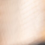 muslos de pollo en salsa picante