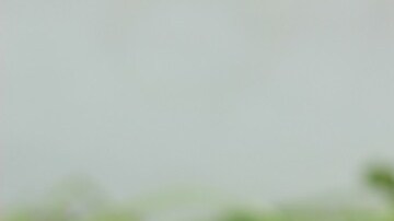 tortillas de harina de garbanzo