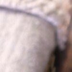 Lasaña de berenjenas y ricotta